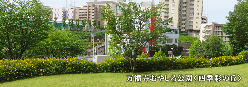 万福寺おやしろ公園 四季彩の丘