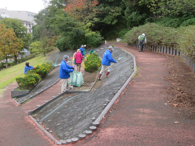 2025_1031202410230013