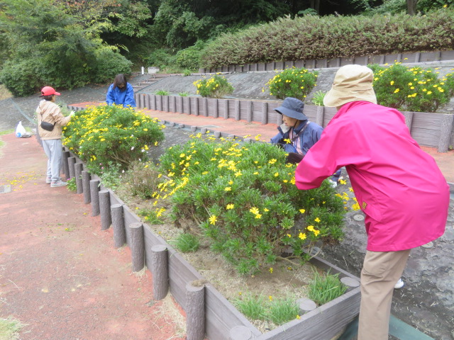 2025_1031202410230017