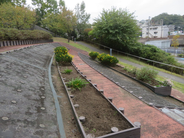 2025_1031202410230020