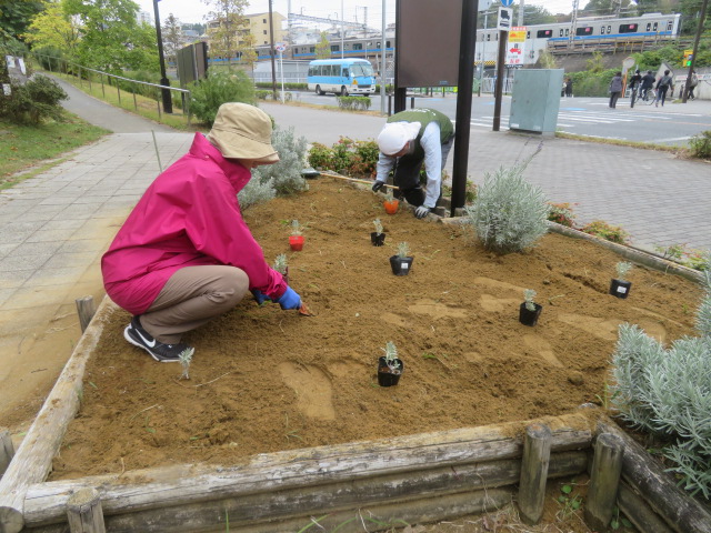 2025_1031202410230029