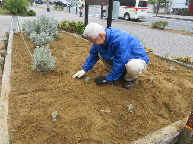 2025_1031202410230041