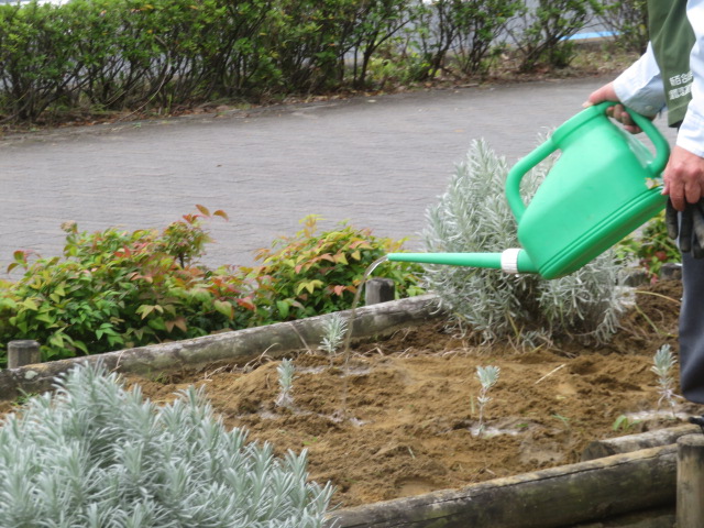 2025_1031202410230042