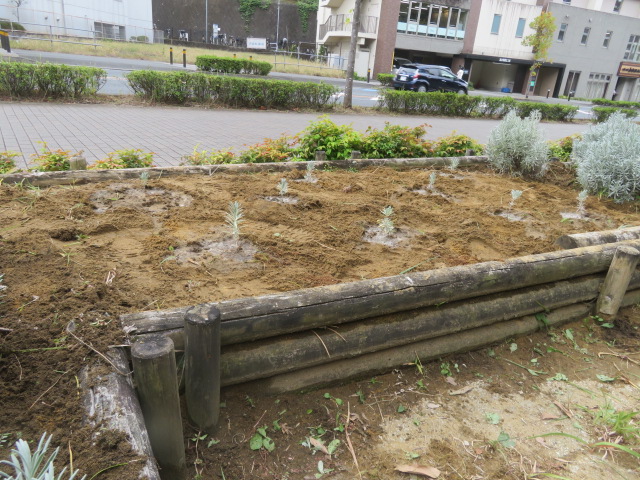 2025_1031202410230043