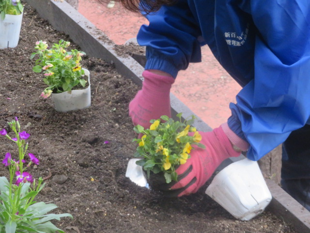 2025_1104202410230018