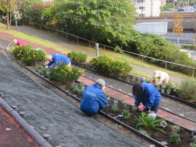 2025_1104202410230024