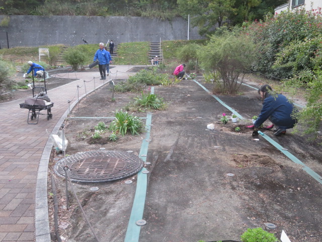 2025_1104202410230033