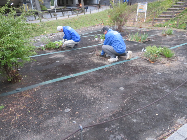 2025_1104202410230042