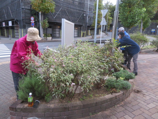 2025_1104202410230045