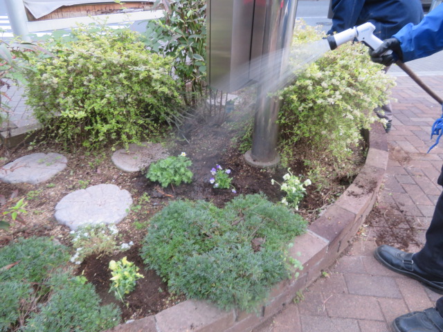 2025_1104202410230046