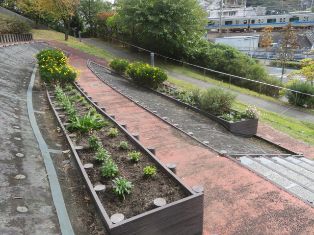 2025_1105202410230016