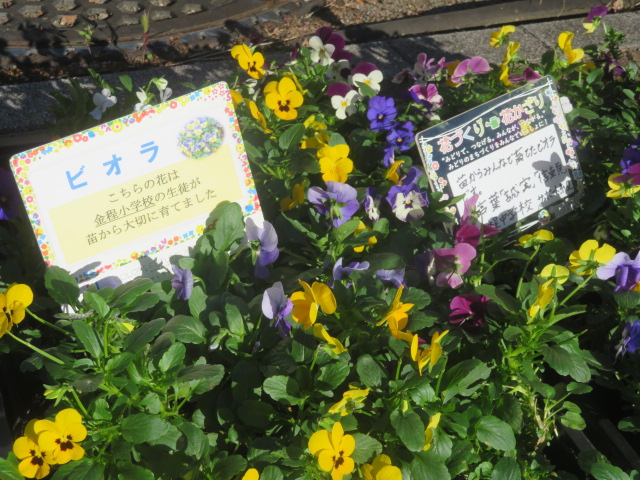 2025_1112202410230003