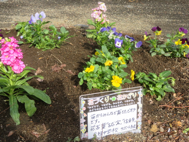 2025_1112202410230018