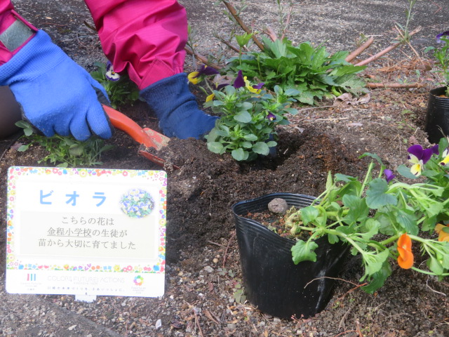 2025_1112202410230024