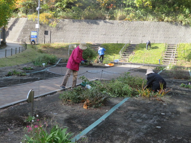 2025_1112202410230031