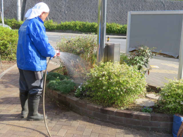 2025_1112202410230034