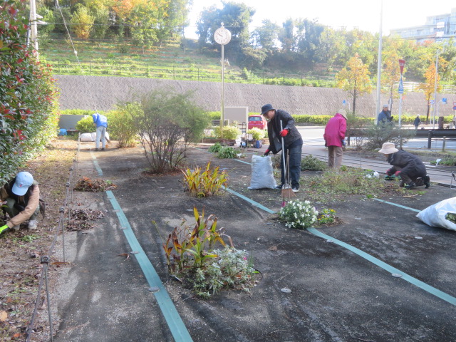 2025_1112202410230042