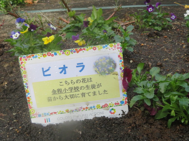 2025_1112202410230044