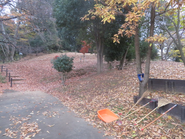 2025_1203202410230004