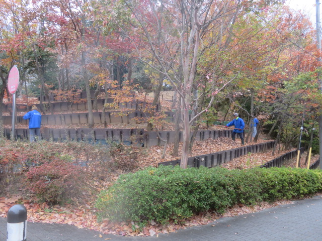 2025_1203202410230008