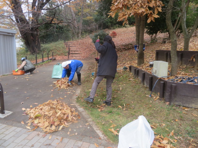 2025_1203202410230009