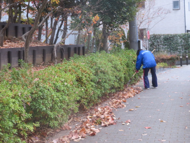 2025_1203202410230010