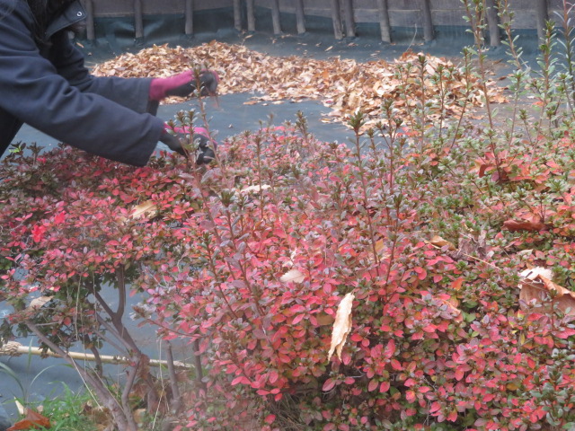 2025_1203202410230013