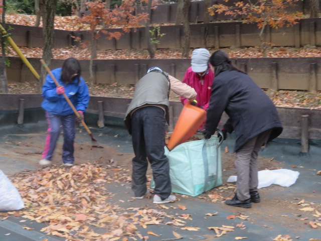 2025_1203202410230017