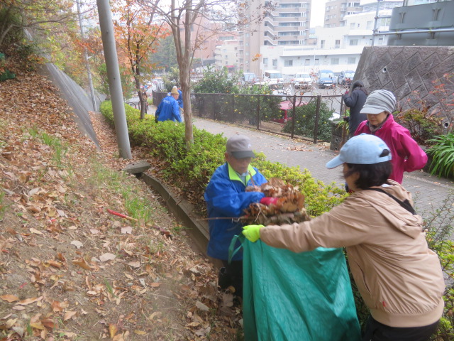 2025_1203202410230025