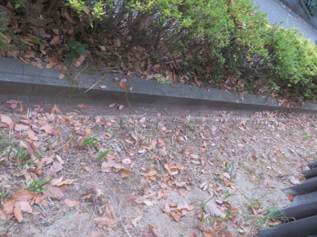 2025_1203202410230029