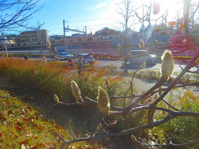 2025_1210202410230005