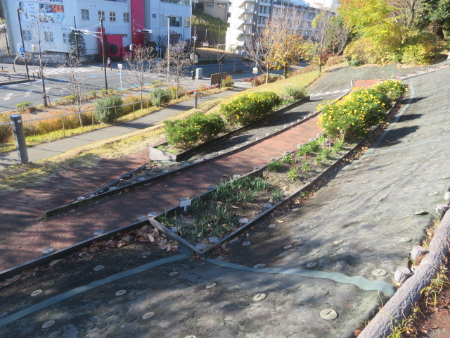 2025_1210202410230006