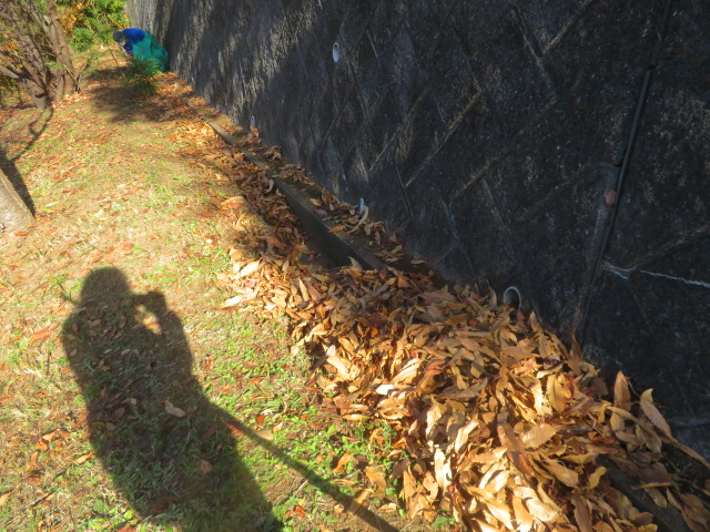 2025_1210202410230015