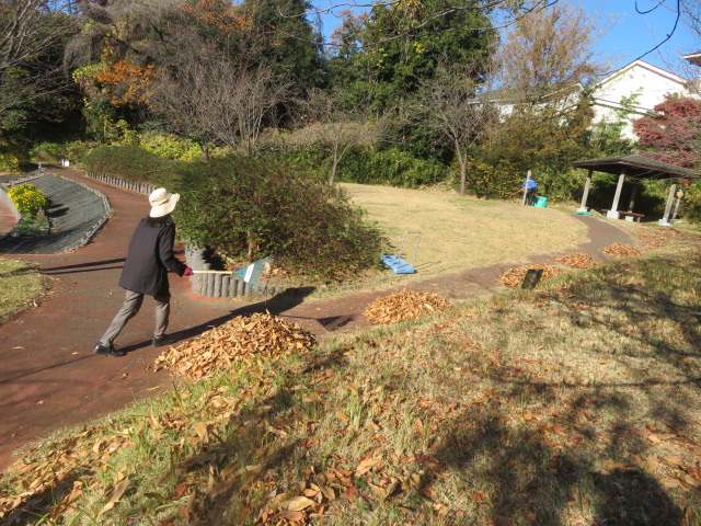 2025_1210202410230019