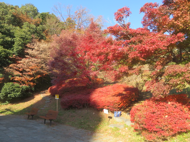 2025_1210202410230025