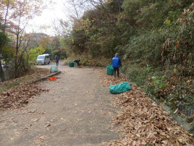 2025_1215202410230020