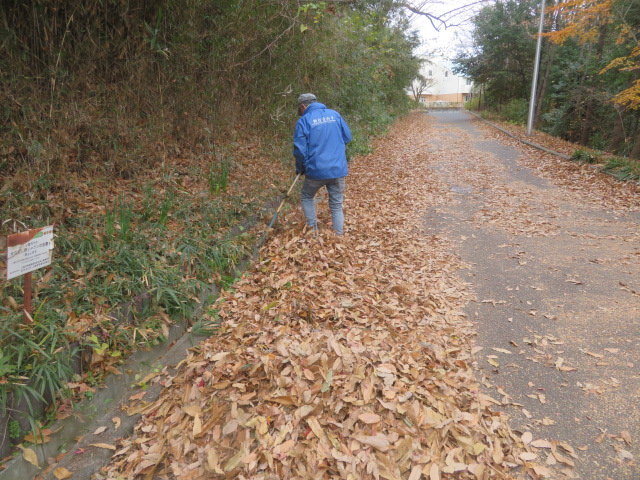 2025_1215202410230024