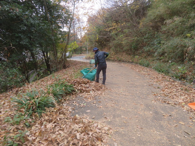 2025_1215202410230026