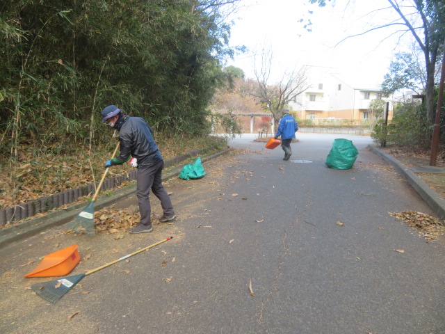 2025_1215202410230034