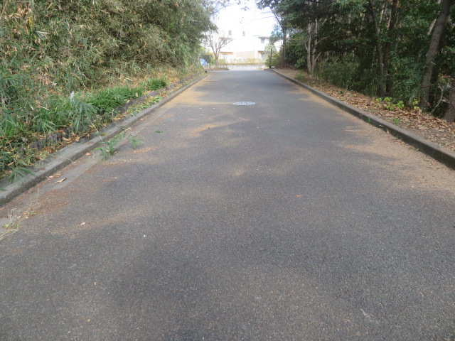 2025_1215202410230037