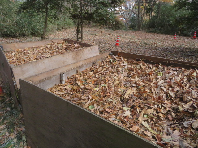 2025_1215202410230047