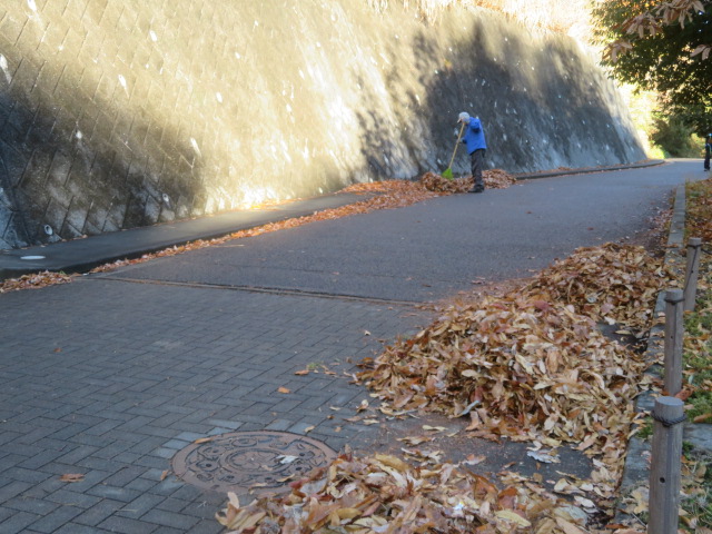 2025_1215202410230053