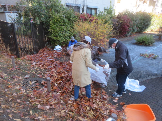 2025_1215202410230071