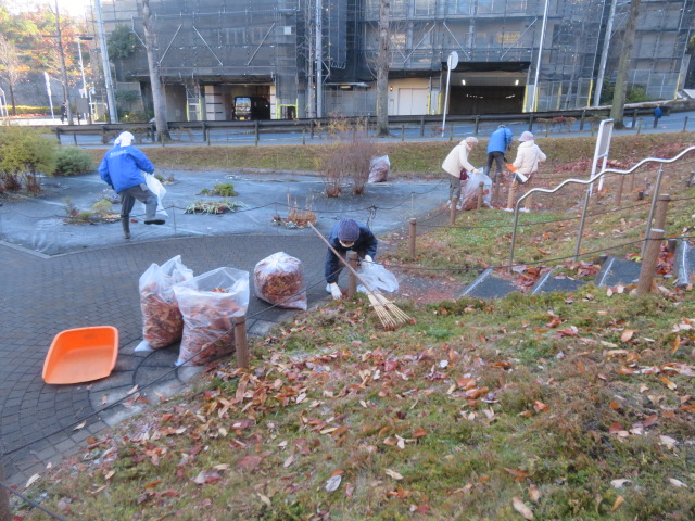 2025_1215202410230072