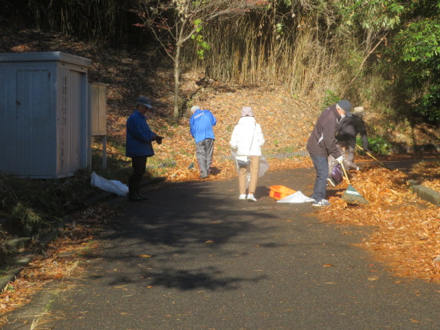 2025_1215202410230089