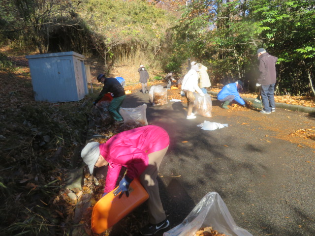 2025_1215202410230094