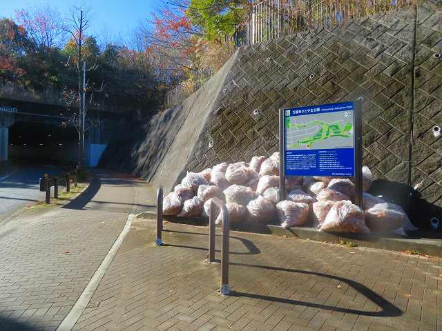 2025_1215202410230103