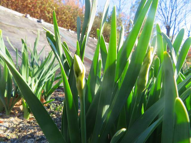 2026_0114202410230008