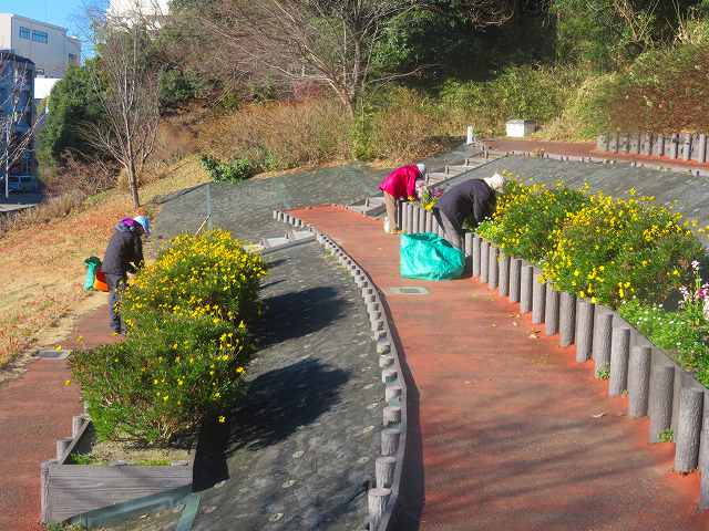 2026_0114202410230014