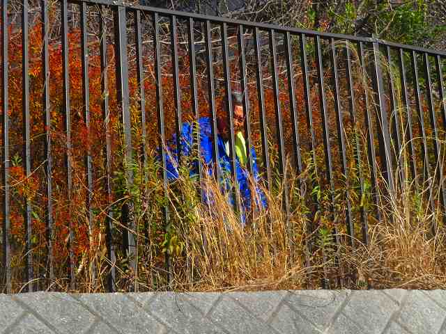 2026_0114202410230020